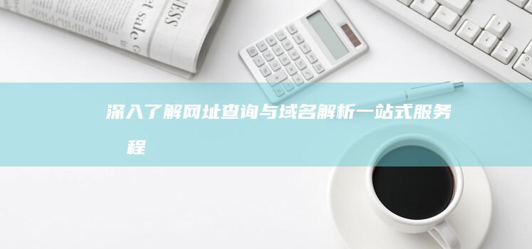 深入了解网址查询与域名解析：一站式服务教程